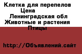 Клетка для перепелов › Цена ­ 10 000 - Ленинградская обл. Животные и растения » Птицы   